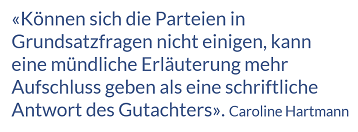 mündliche Erläuterung